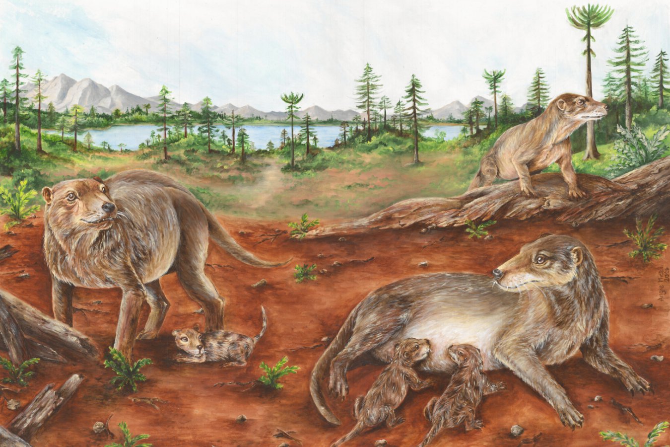 Ancient Mammal Ancestors Gave Birth to Live Young 236 Million Years Ago