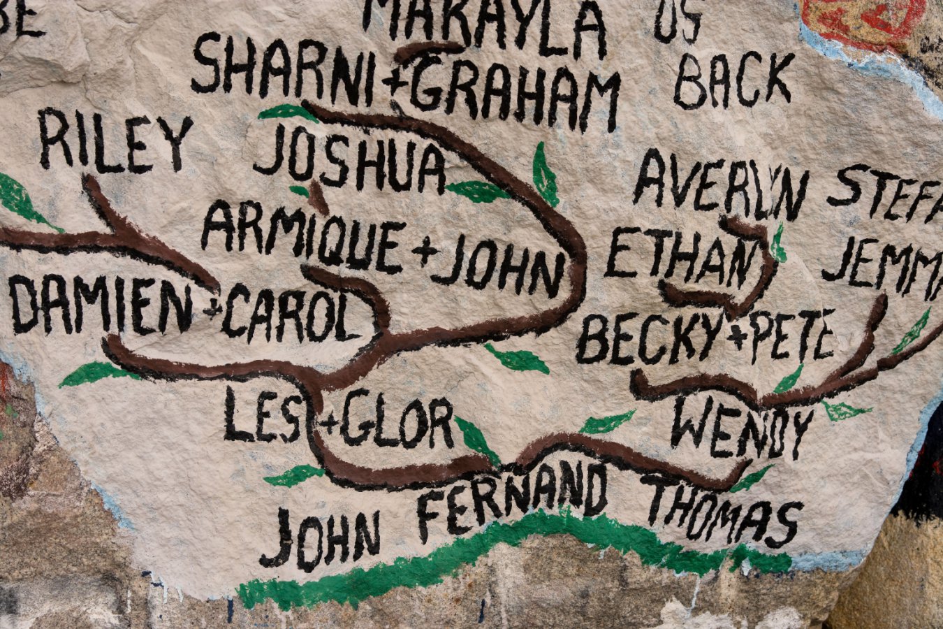 Exploring the Dynamics of Family Trees: Growth and Decline