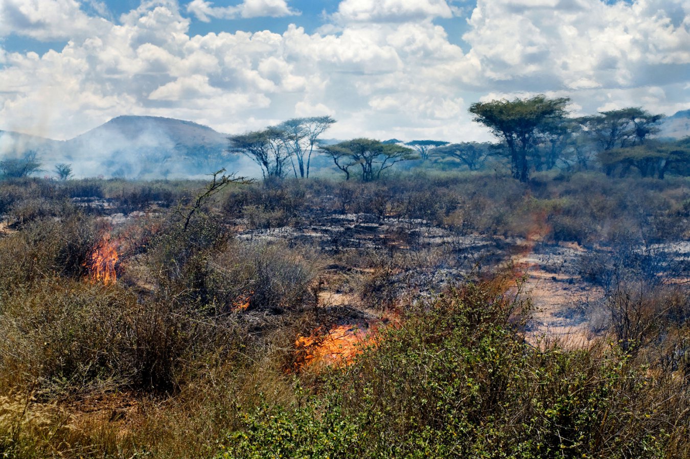Monsoon-driven Wildfires and Their Role in Human Evolution