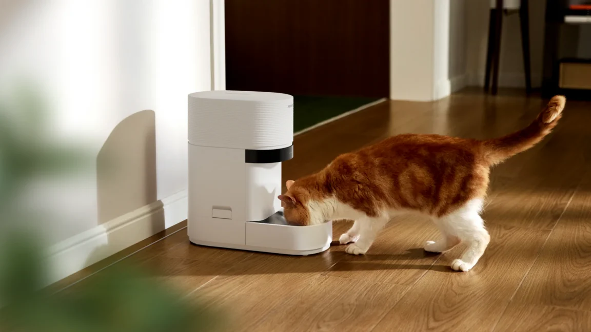 Smart Pet Feeder Outage Leaves Pets Hungry